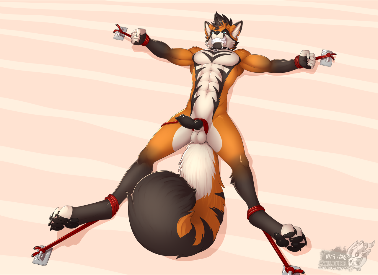 Abs Rule 34 Image