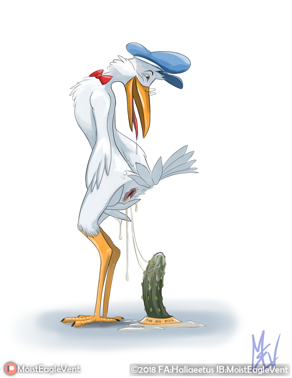 Animal Genitalia Rule 34 Image