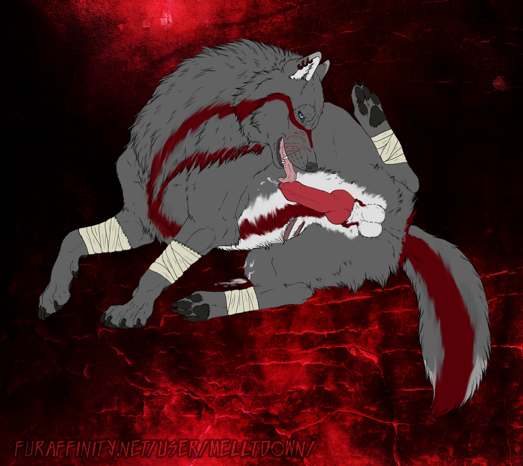 Shakar Rule 34 Image