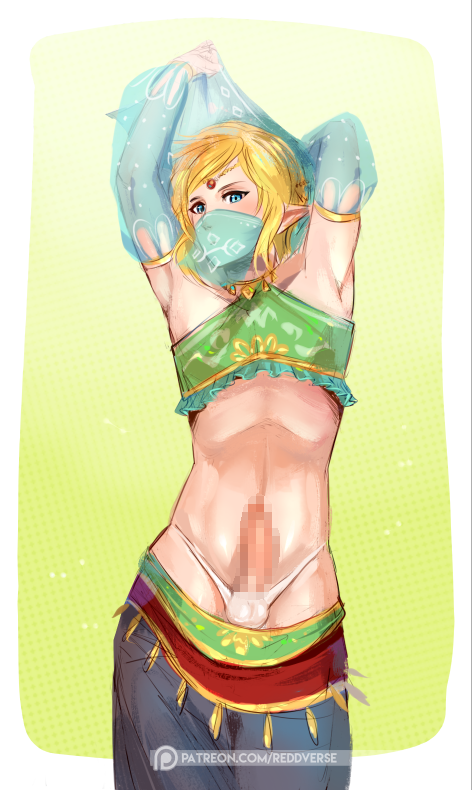 Gerudo Link (Breath Of The Wild) Rule 34 Image