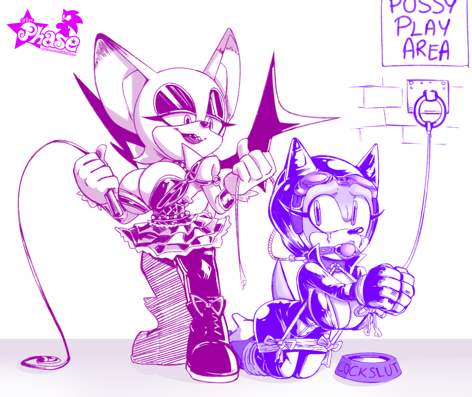 Rouge The Bat (Sonic (Series)) Rule 34 Image