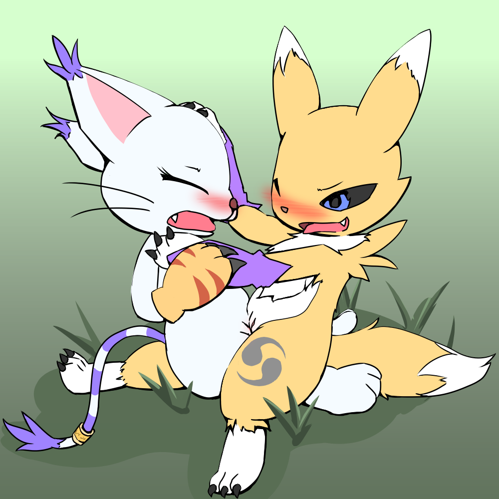 Gatomon (Digimon) Rule 34 Image