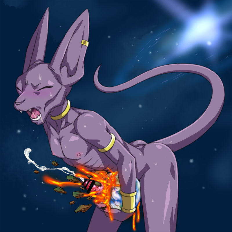 Beerus (Dragon Ball) Rule 34 Image