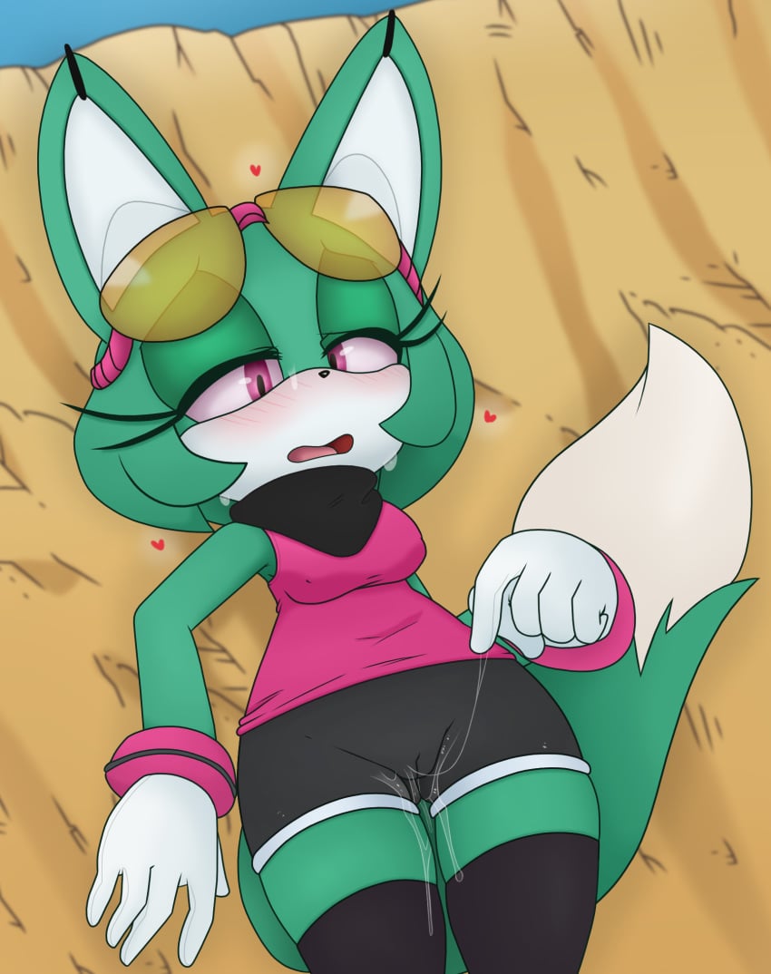 Sonar The Fennec (Sega) Rule 34 Image
