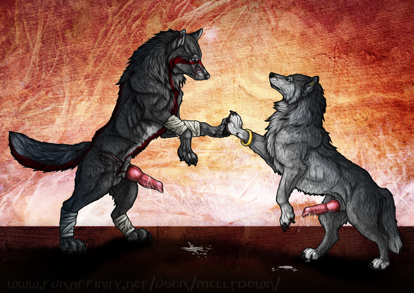 Shakar Rule 34 Image