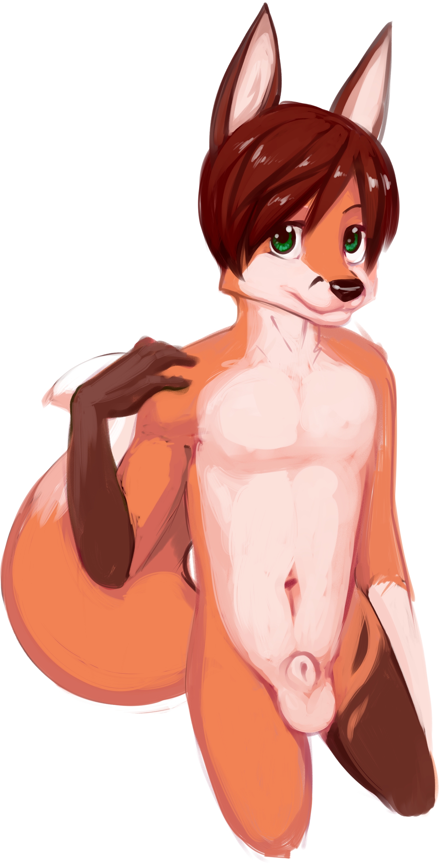 Animal Genitalia Rule 34 Image