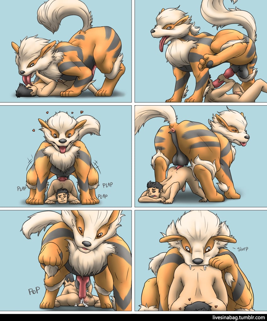 Arcanine (Nintendo) Rule 34 Image