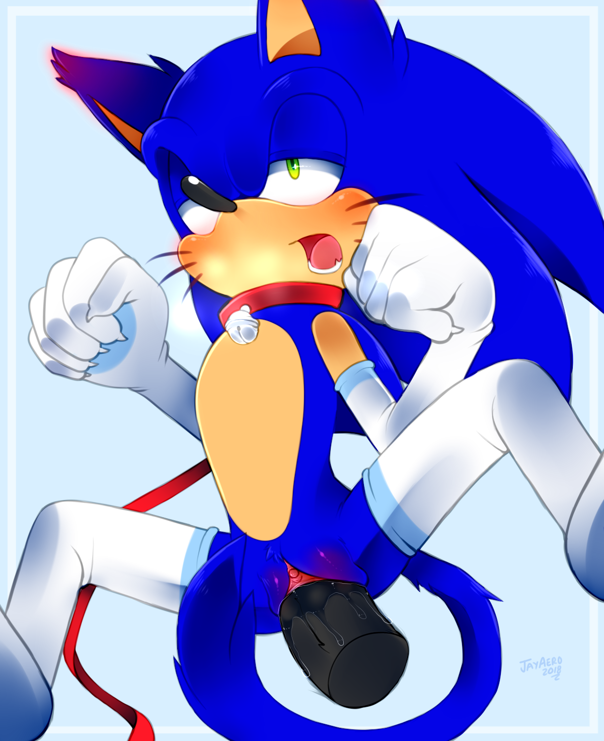 Sonic The Hedgehog (Sonic (Series)) Rule 34 Image