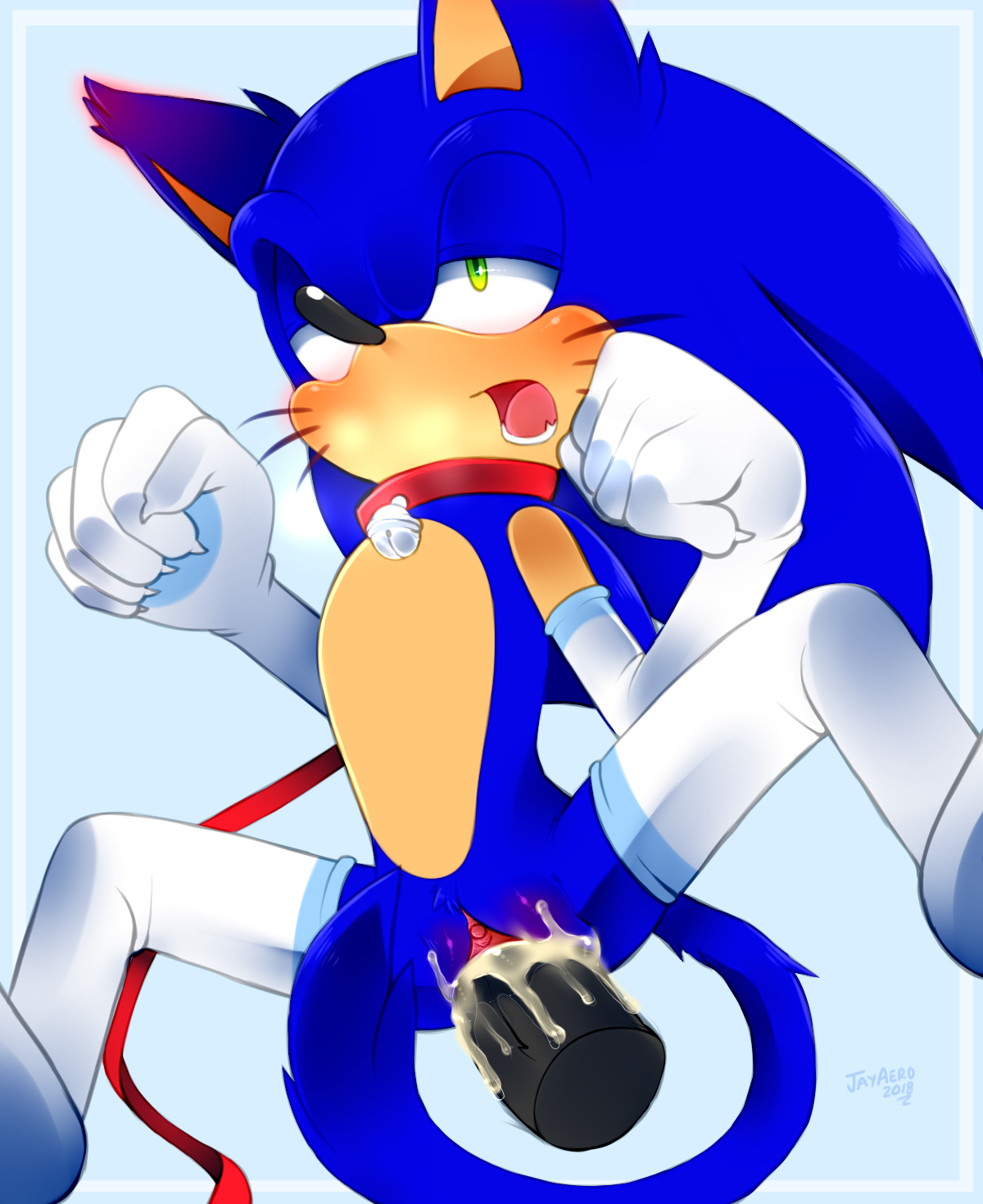 Sonic The Hedgehog (Sonic (Series)) Rule 34 Image