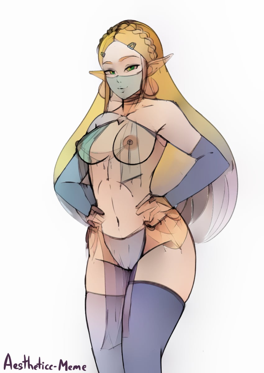 Princess Zelda (Breath Of The Wild) Rule 34 Image