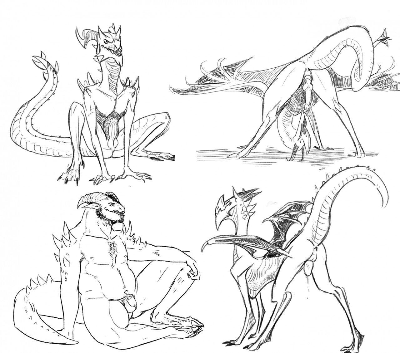 Anthro Rule 34 Image