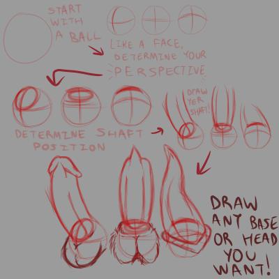 Animal Genitalia Rule 34 Image
