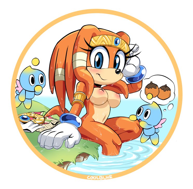 Chao (Sonic) Rule 34 Image