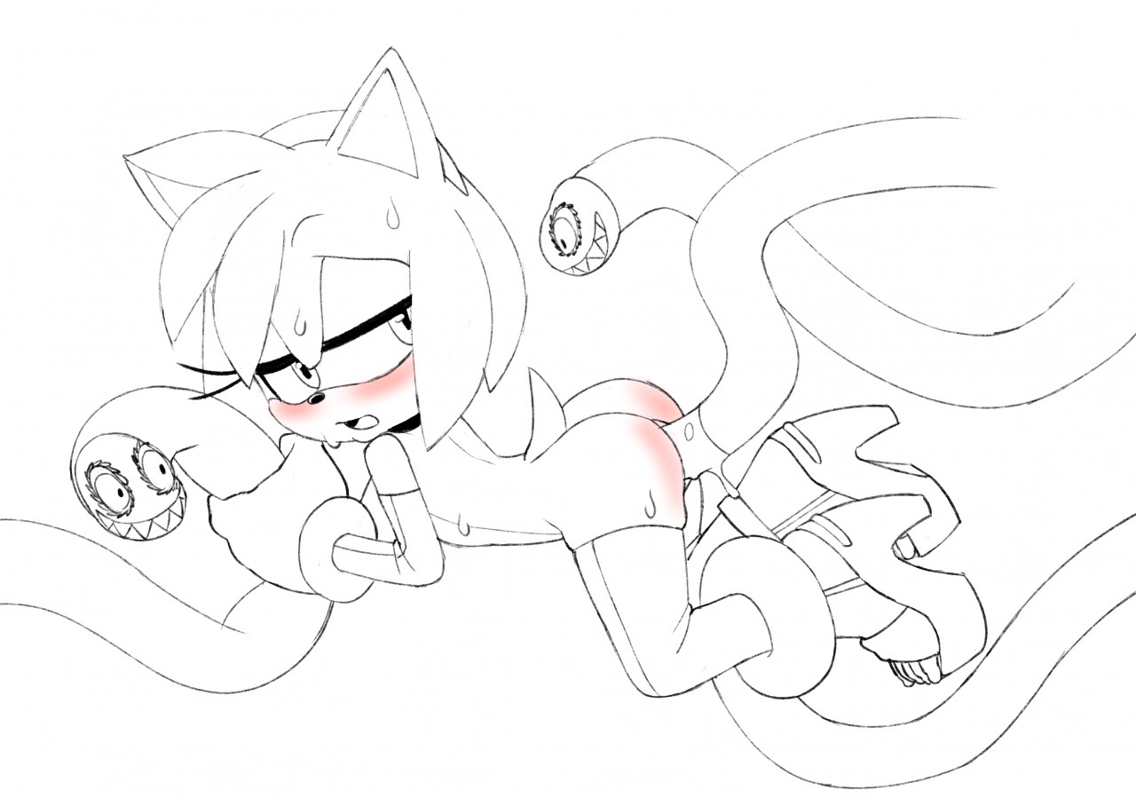 Amy Rose (Sonic (Series)) Rule 34 Image