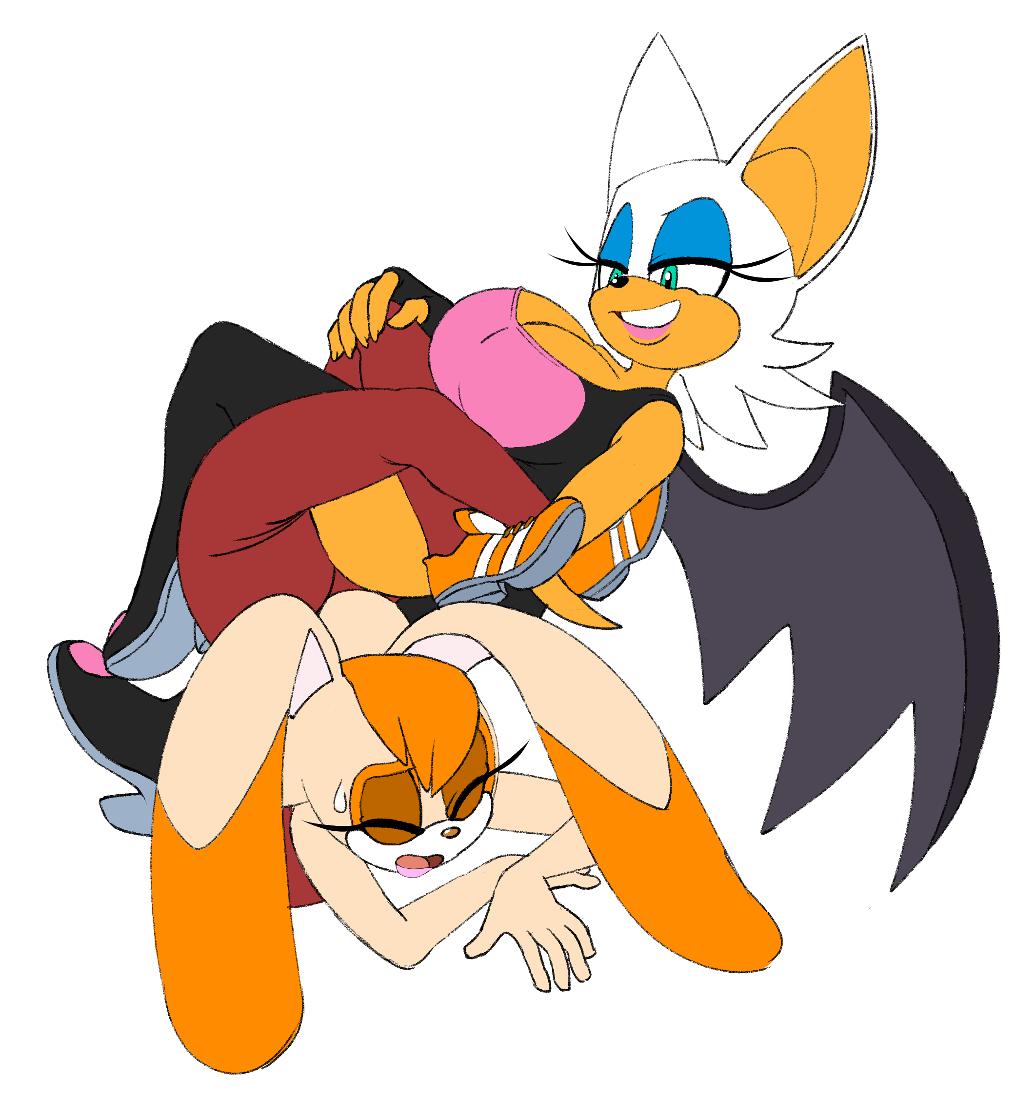 Rouge The Bat (Sonic (Series)) Rule 34 Image
