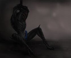 3033 Rule 34 Image