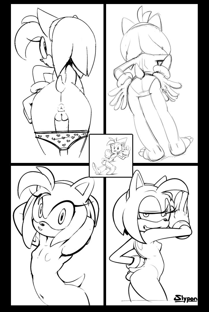 Amy Rose (Sonic (Series)) Rule 34 Image