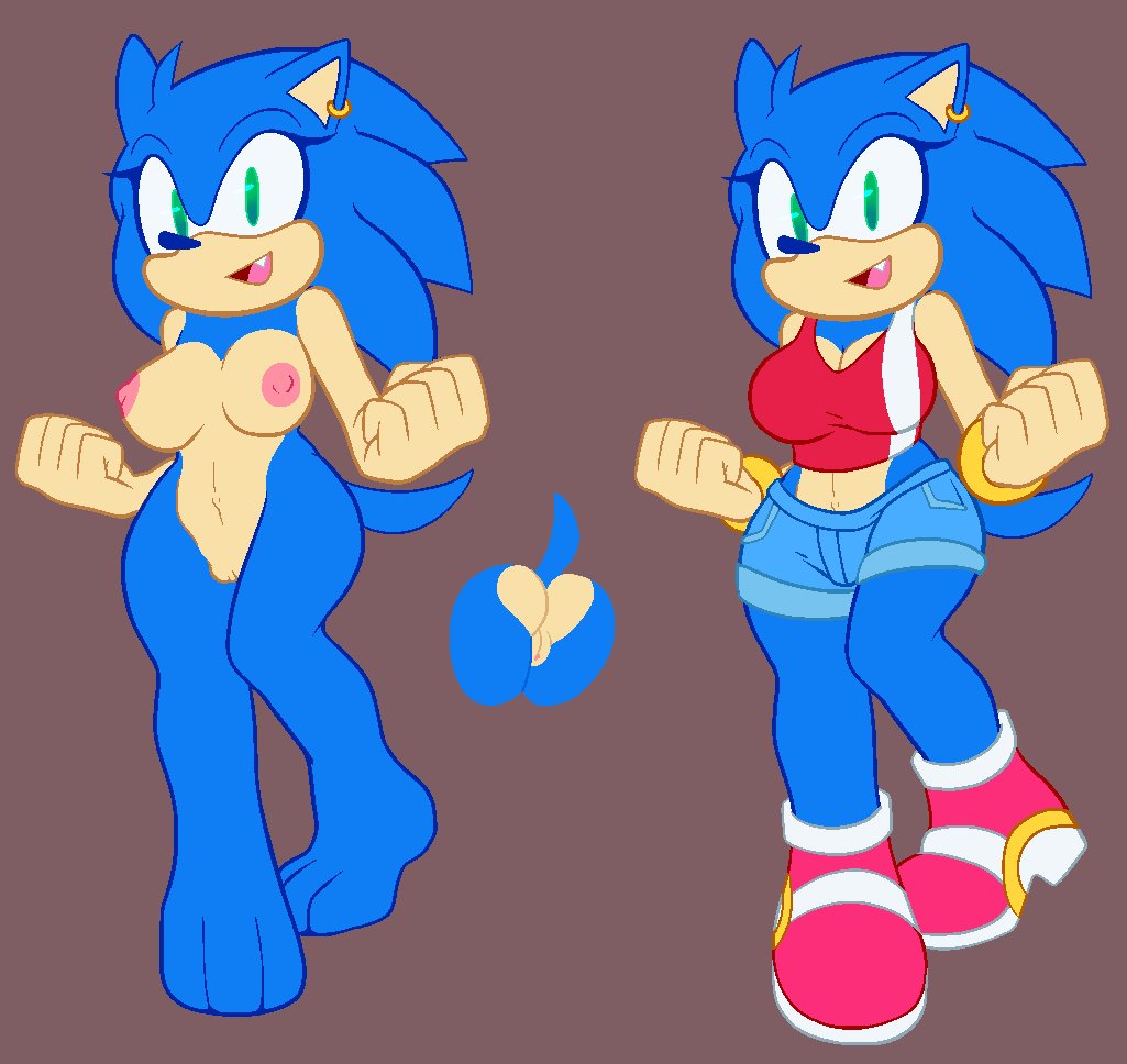 Sonic The Hedgehog (Sonic (Series)) Rule 34 Image