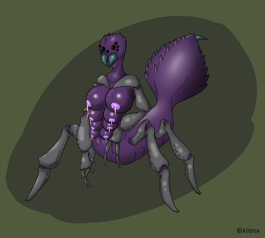 Abdomen Rule 34 Image