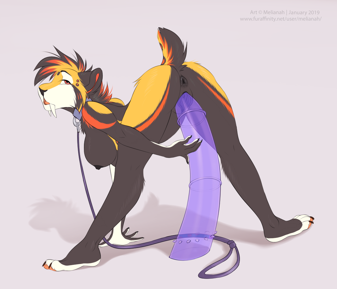 2019 Rule 34 Image