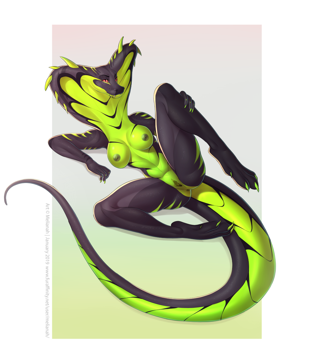 2019 Rule 34 Image