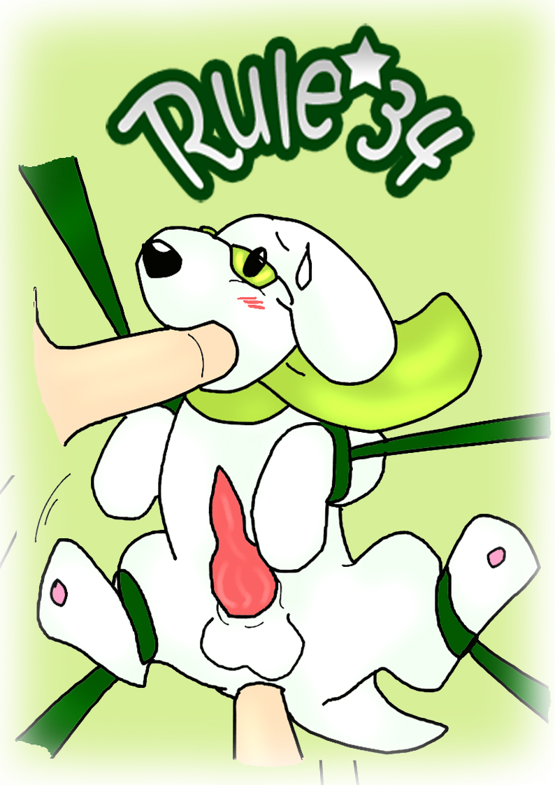34-Dag Rule 34 Image
