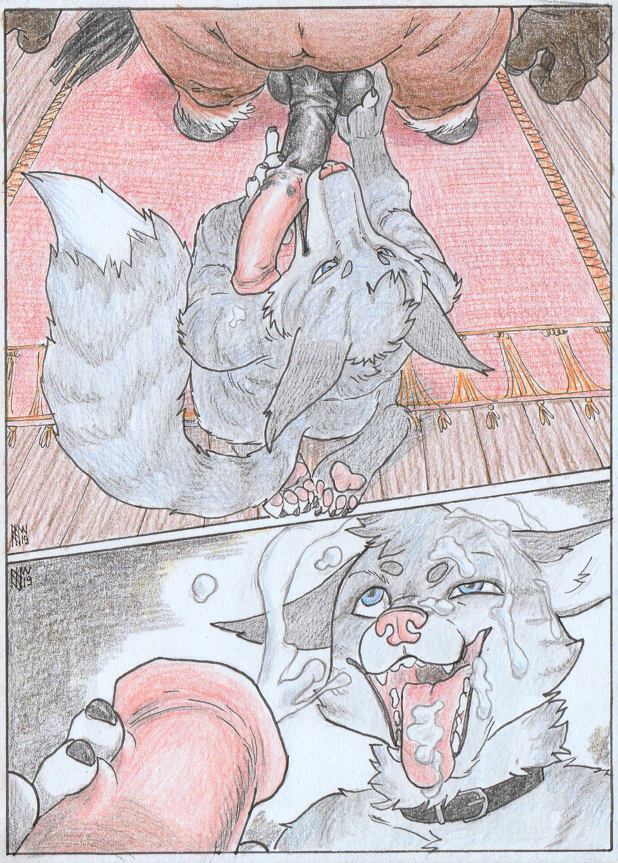 Tabby Rule 34 Image