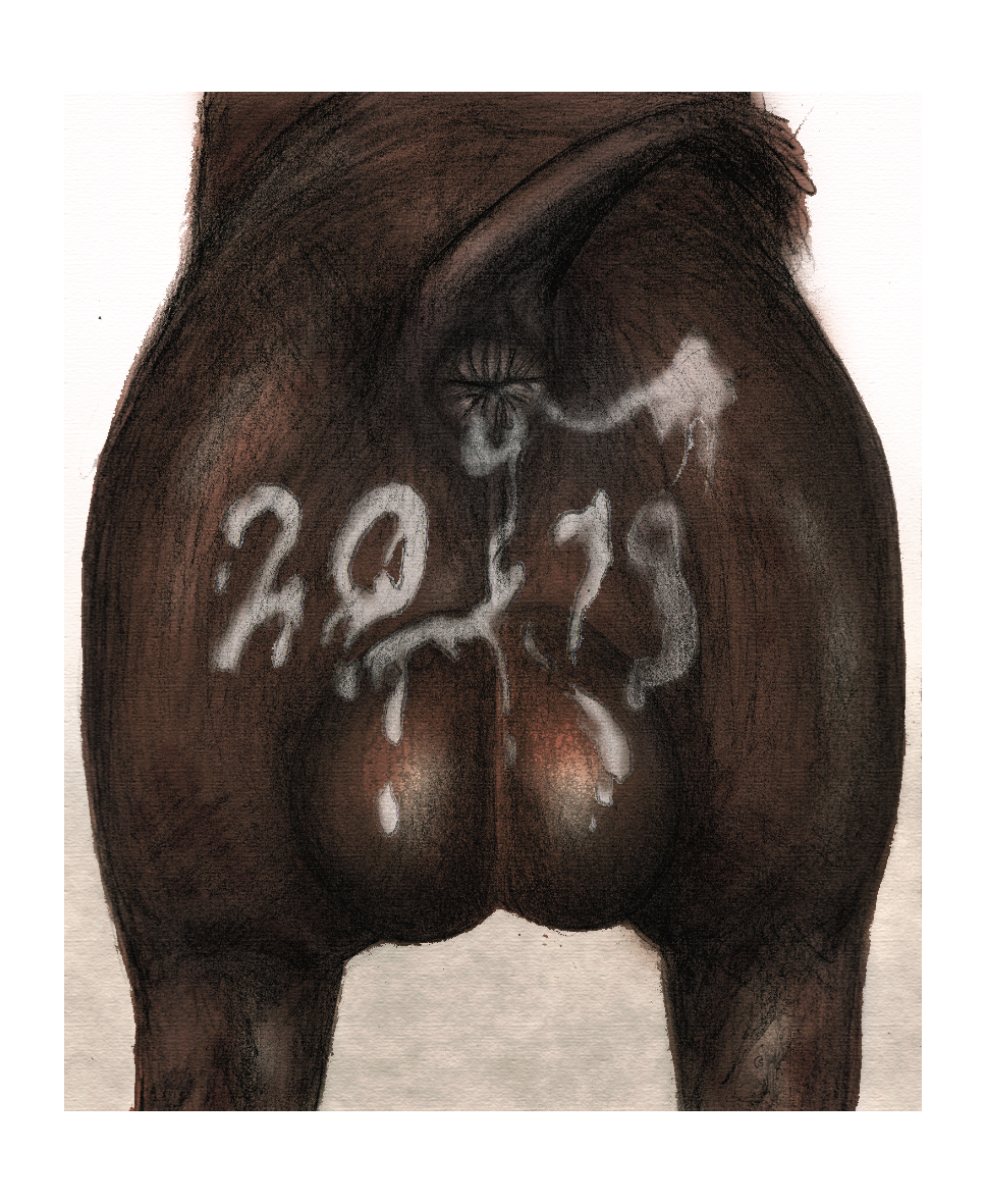 Sus (Pig) Rule 34 Image