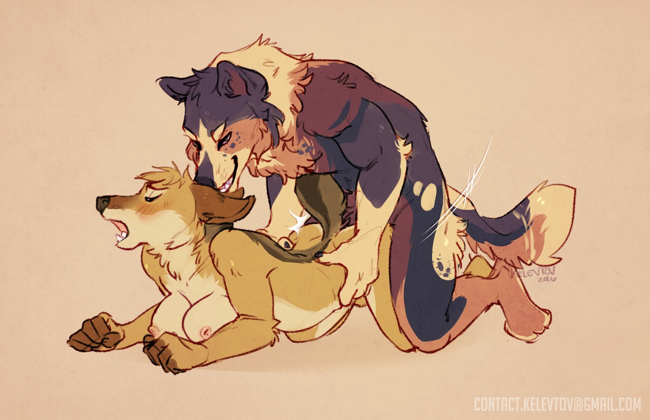 2016 Rule 34 Image
