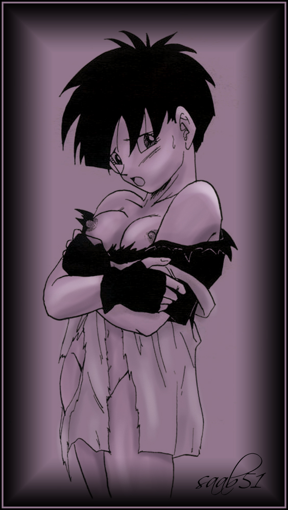 Videl (Dragon Ball) Rule 34 Image