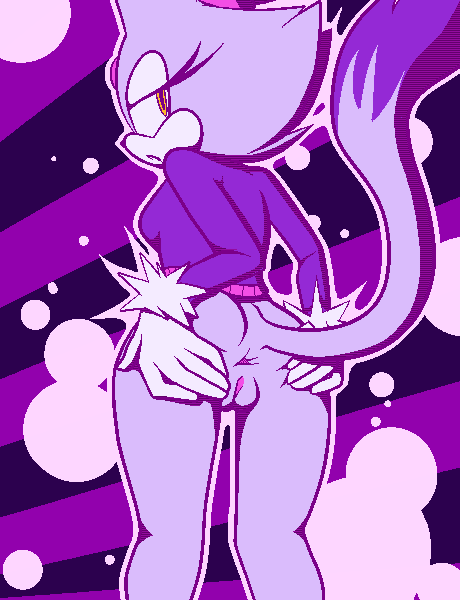Blaze The Cat (Sonic (Series)) Rule 34 Image