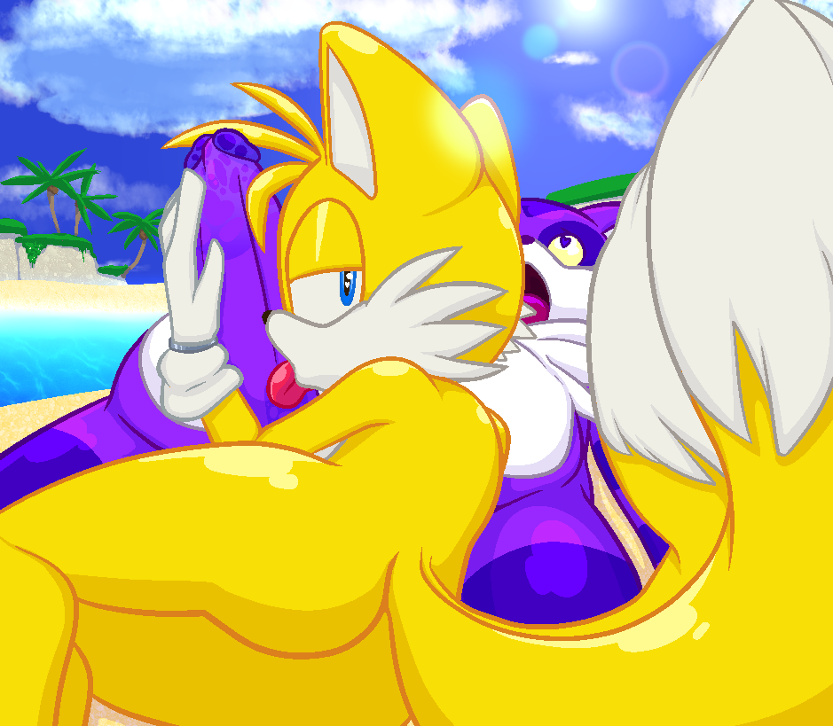 Big The Cat (Sonic (Series)) Rule 34 Image