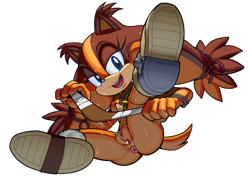 Sticks The Badger (Sega) Rule 34 Image