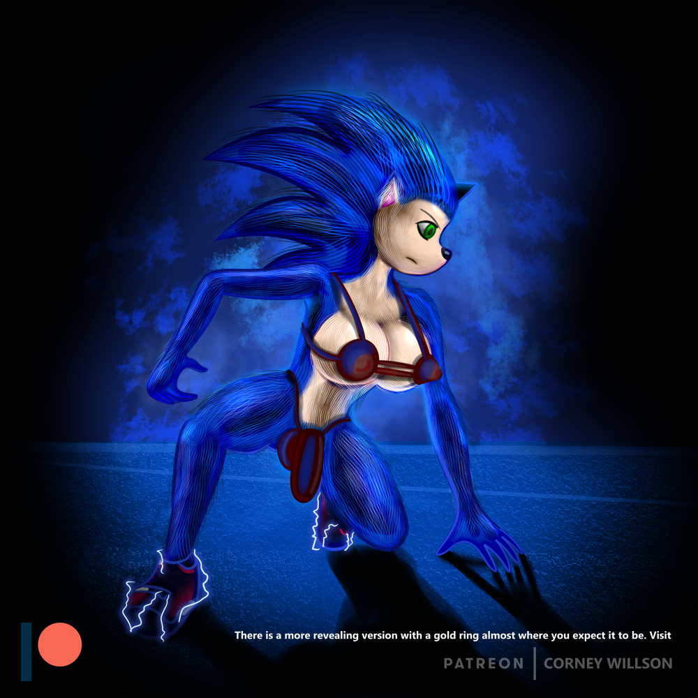 Sonic (Series) Rule 34 Image