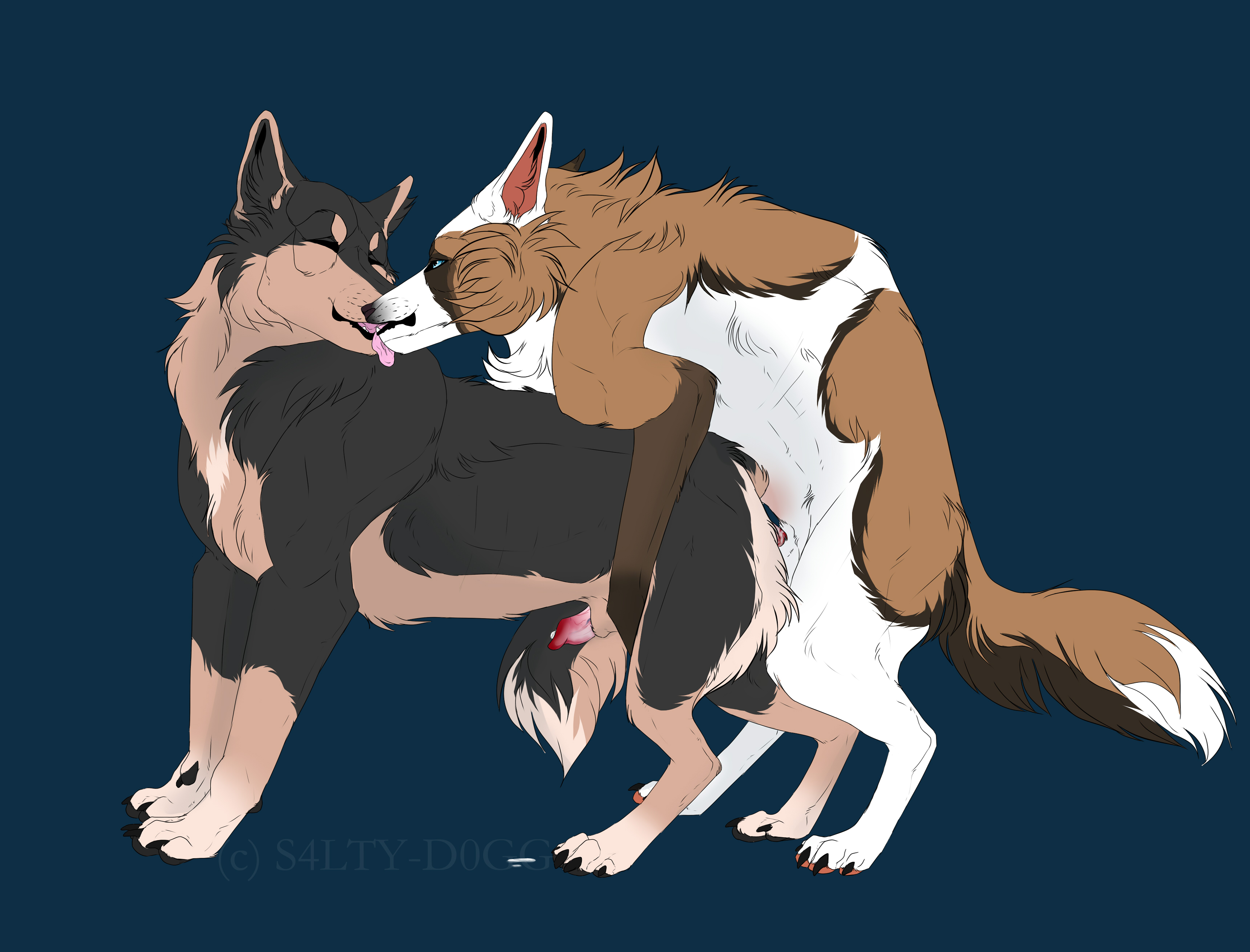 Connie (Moondoggo) Rule 34 Image
