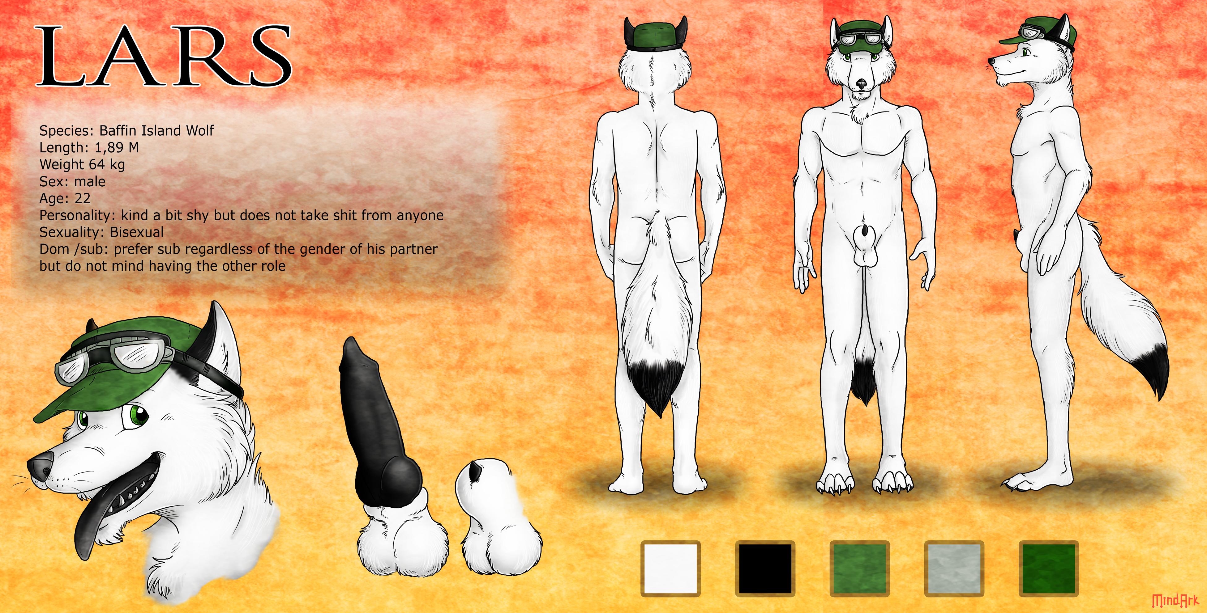Lars (Tomatlars) Rule 34 Image