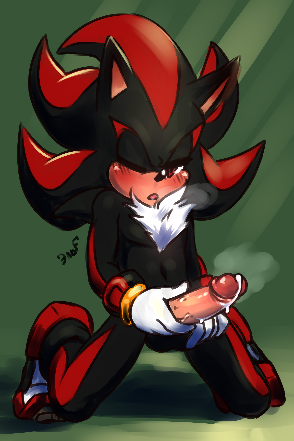 Shadow The Hedgehog (Sonic (Series)) Rule 34 Image