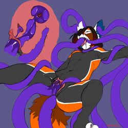 Ailurid Rule 34 Image