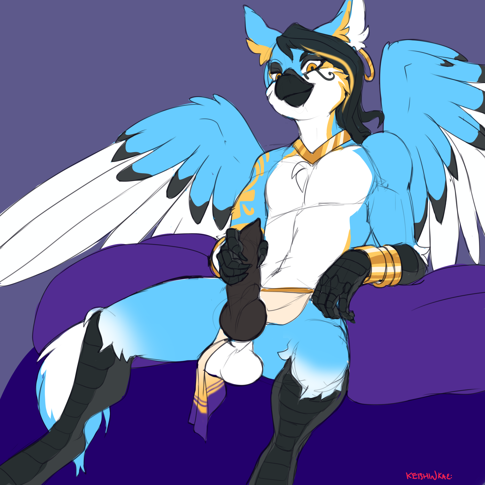 Animal Genitalia Rule 34 Image