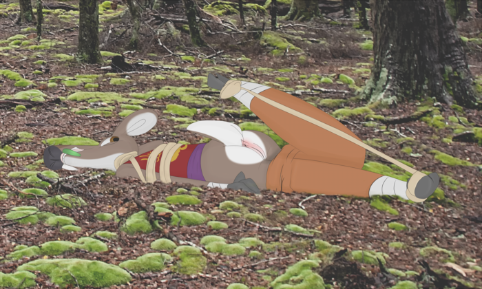 Kung Fu Panda Rule 34 Image
