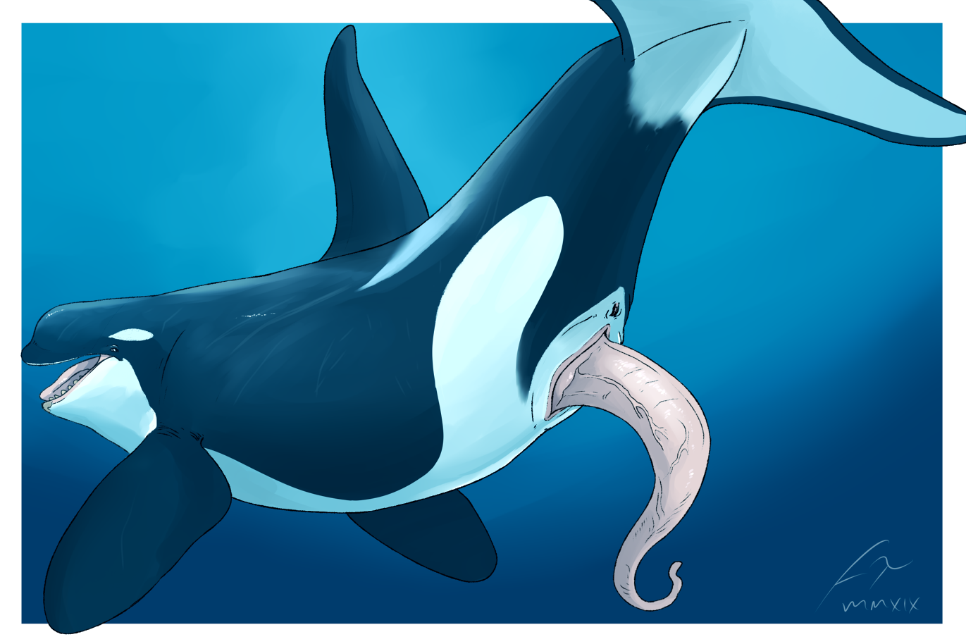 2019 Rule 34 Image