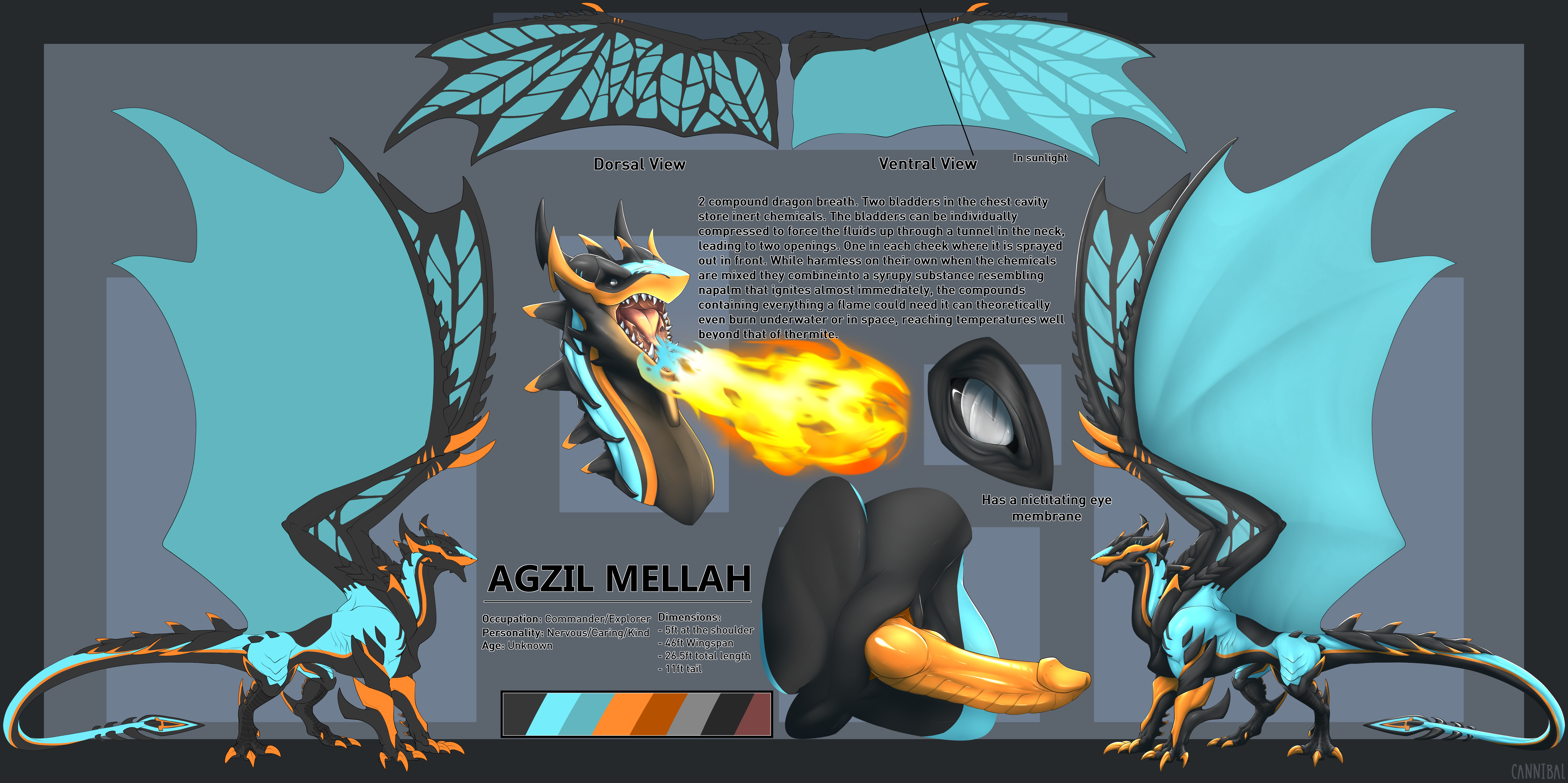 2019 Rule 34 Image