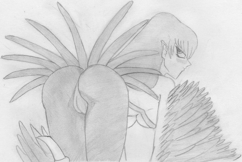 Harpie Lady (Yu-Gi-Oh!) Rule 34 Image