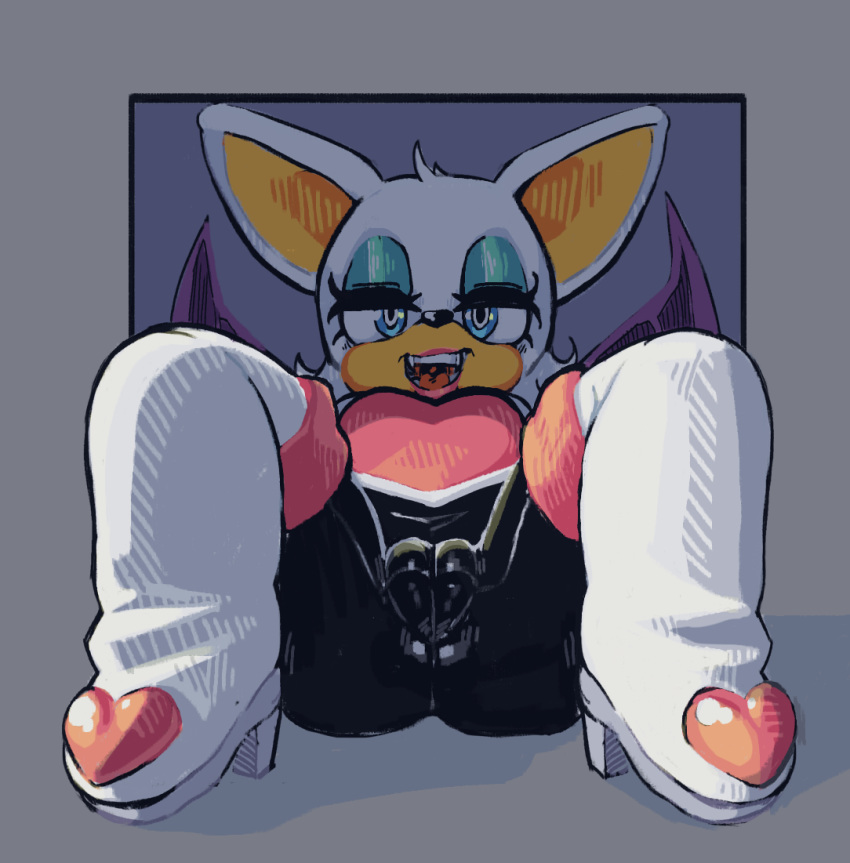 Rouge The Bat (Sonic (Series)) Rule 34 Image