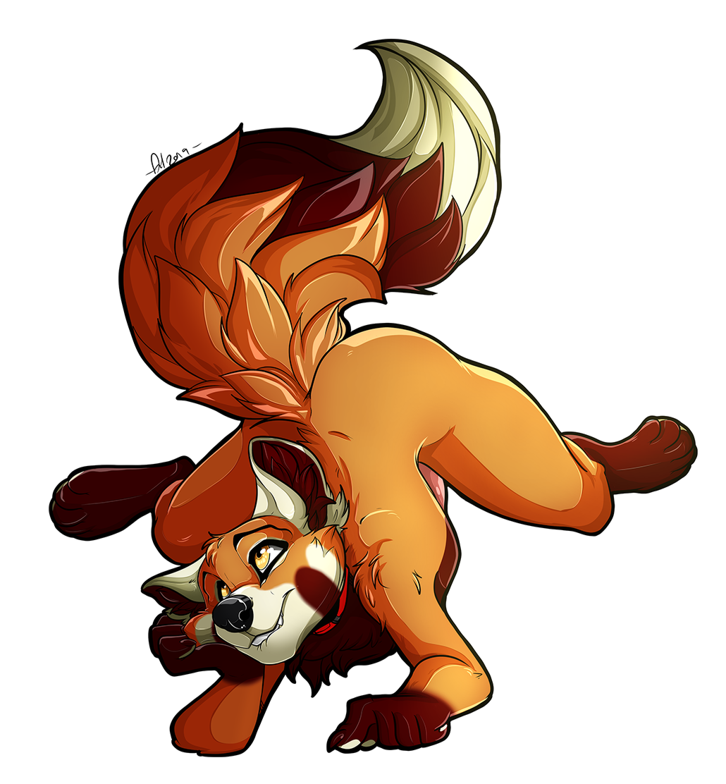 Ailurid Rule 34 Image