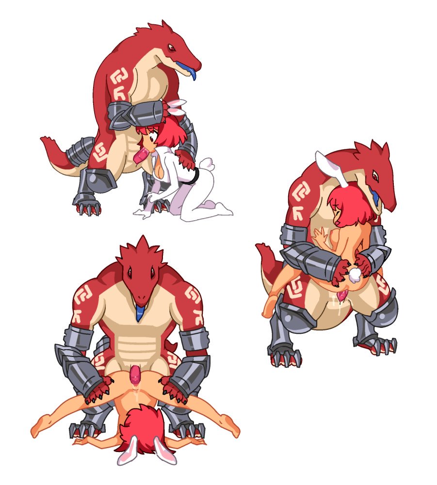 Usaco (Echidna Wars Dx) Rule 34 Image