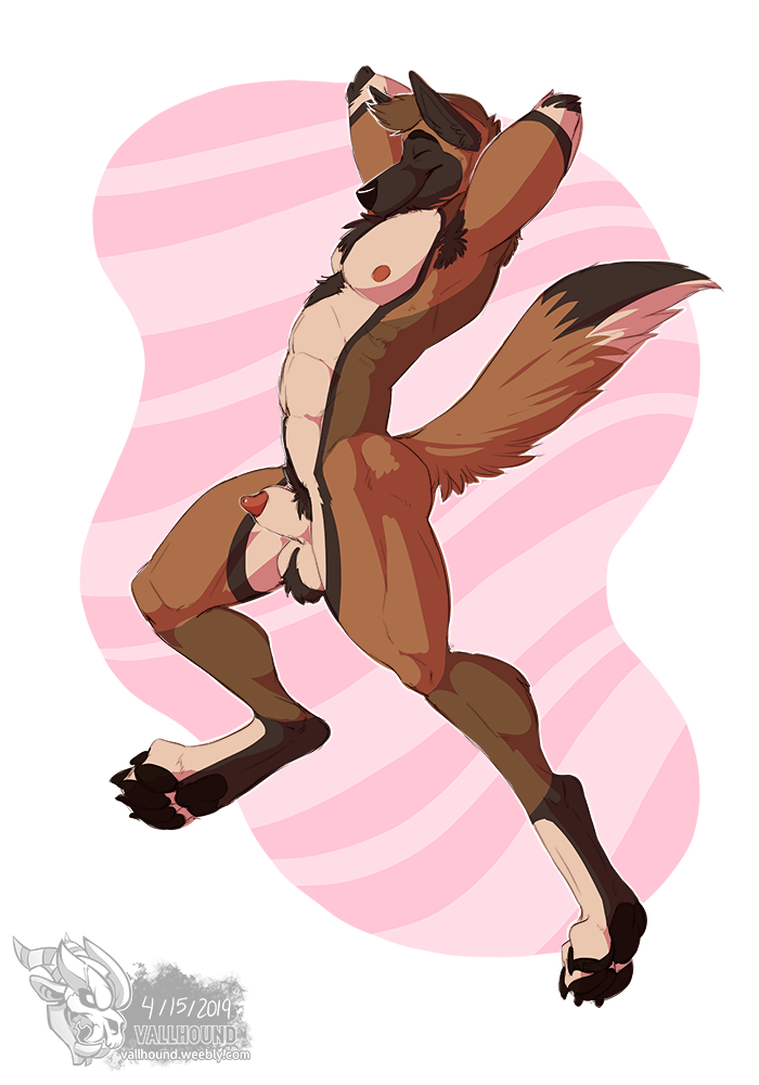 Animal Genitalia Rule 34 Image