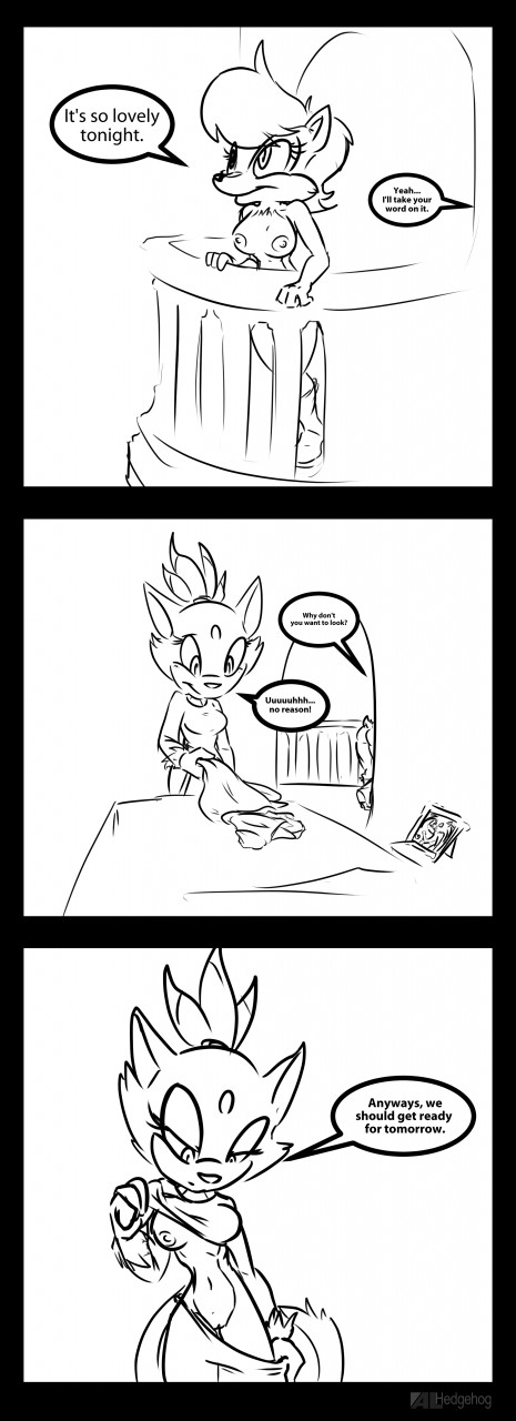Blaze The Cat (Sega) Rule 34 Image