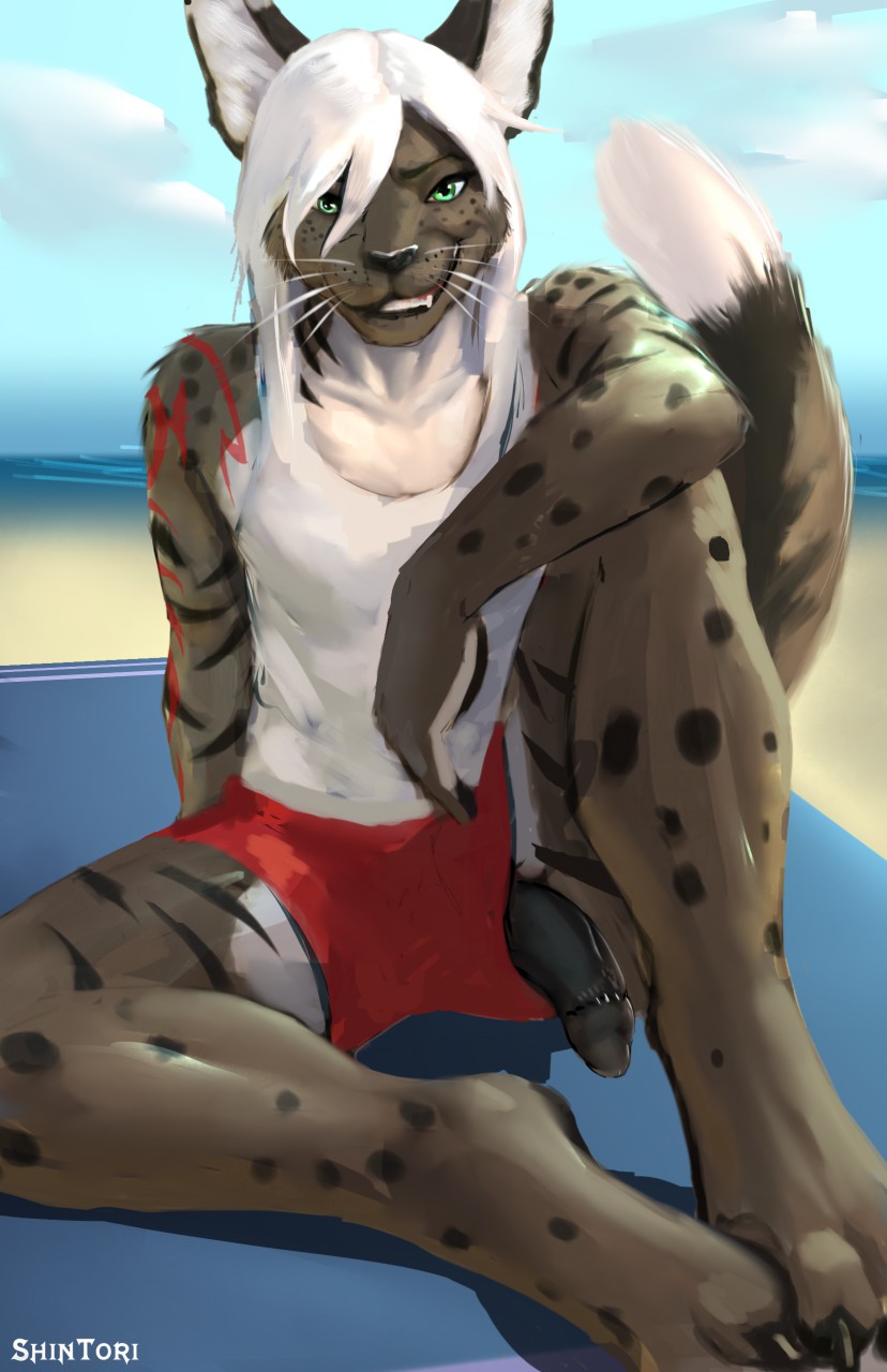 Anthro Rule 34 Image