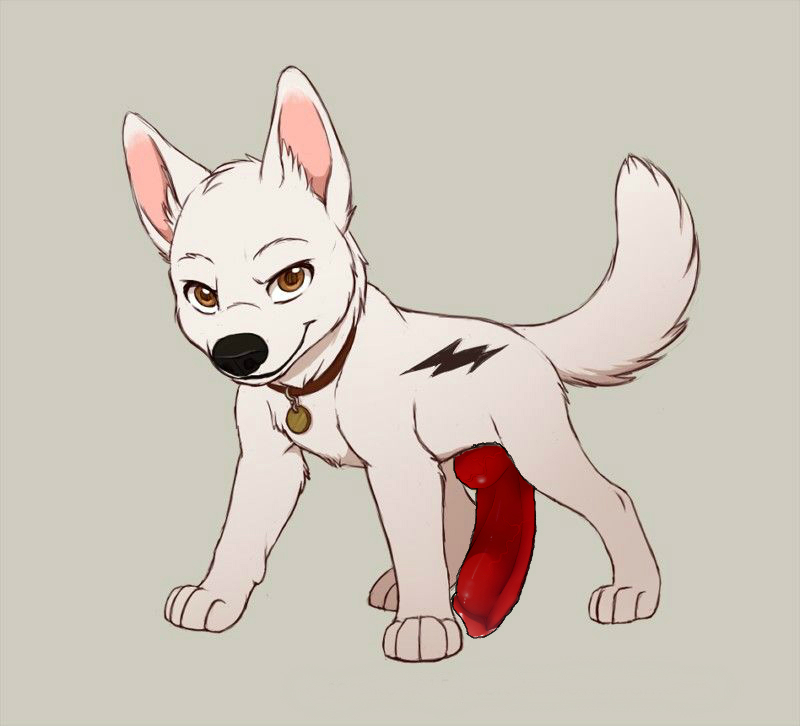 Bolt (Bolt) Rule 34 Image